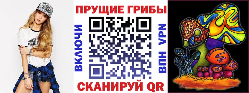 Галлюциногенные грибы MAGIC MUSHROOMS  сколько стоит  кракен   Кубинка 