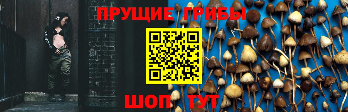 Псилоцибиновые грибы Magic Shrooms  Вход с VPN  наркотики  Кубинка 